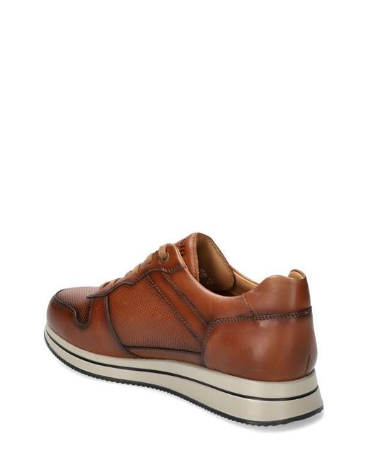 Mephisto Brown Gerome Sneaker for men