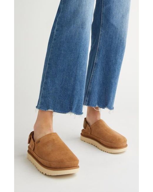Ugg Brown Goldenstar Clog Suede Shoes