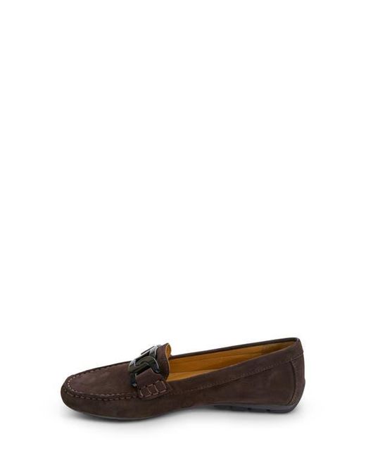 Vaneli Brown Aiker Driving Loafer
