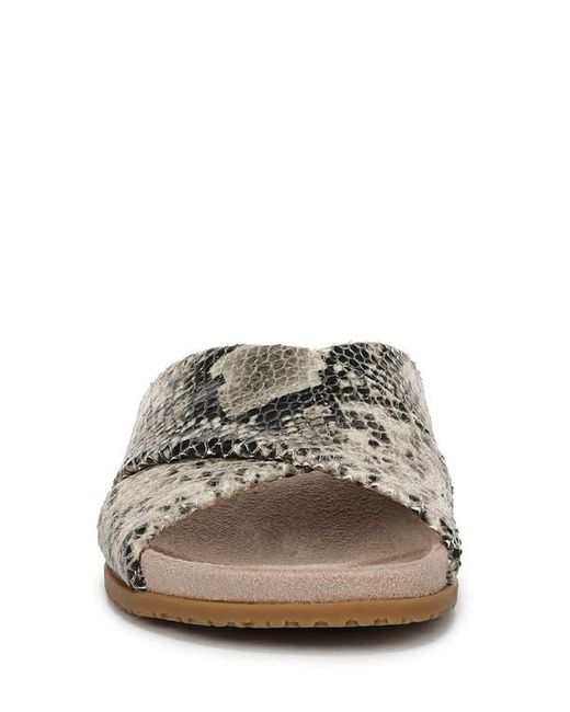 Vionic Gray Etna Crossover Slide Sandal