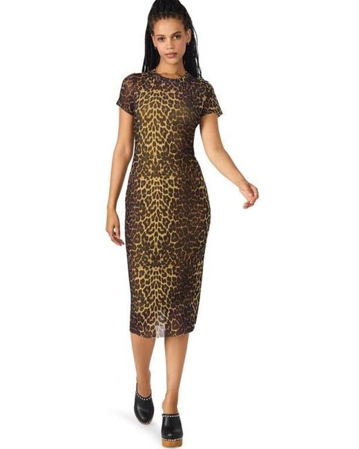 Steve Madden Brown Hailee Print Dress