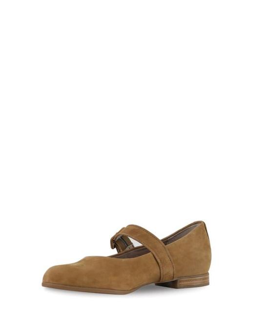 Munro Brown Mary Jane Flat