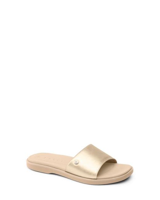 Reef Multicolor Cushion Sunny Slide Sandal