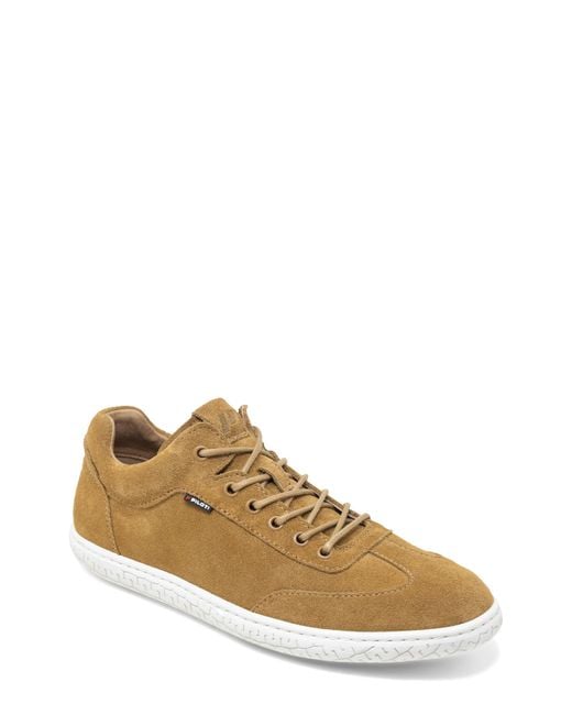 Piloti Brown Shift Sneaker for men