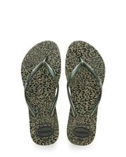 havaianas slim animal print flip flops