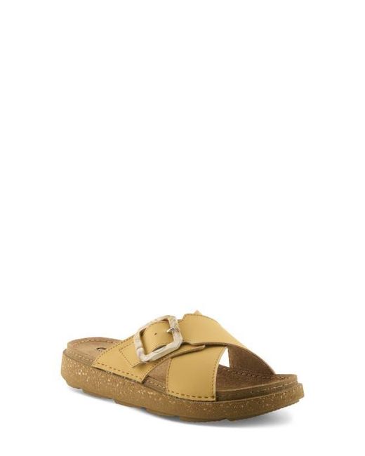 Flexus by Spring Step Metallic Aspa Slide Sandal
