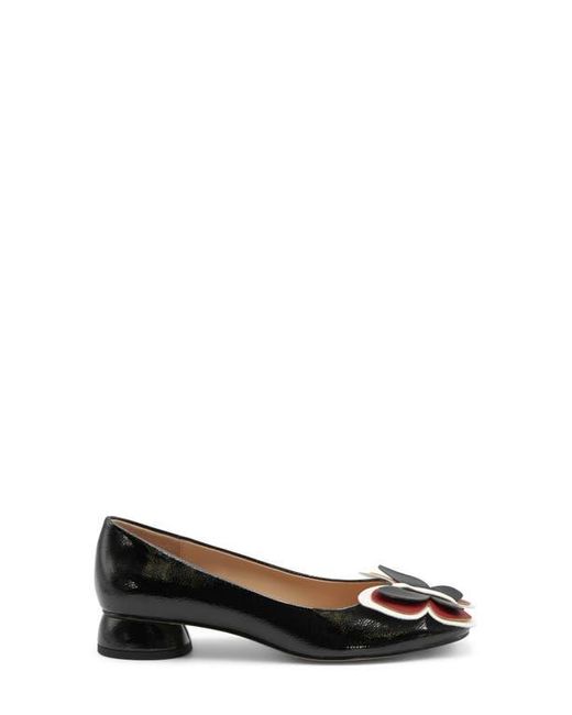 Charles David Black Benson Flat