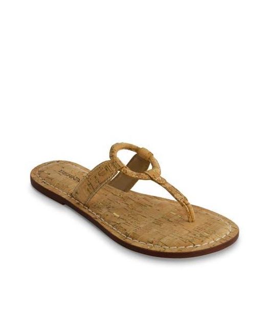 Bernardo Brown Matrix 2 Thong Sandal