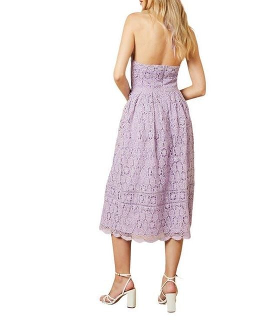 Oasis Purple Lace Detail Halterneck Midi Dress