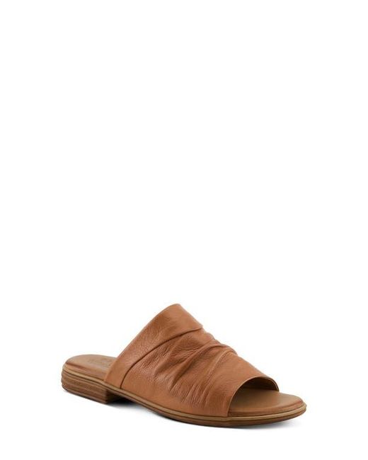 Spring Step Brown Jaleel Slide Sandal