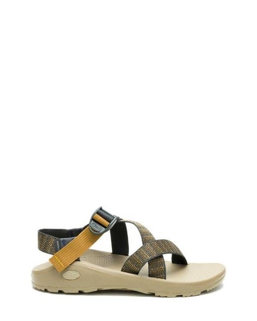 Chaco Multicolor Z/Cloud Sandal for men