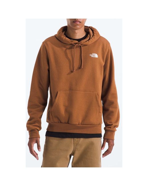 The North Face Brown Evolution Graphic Hoodie for men