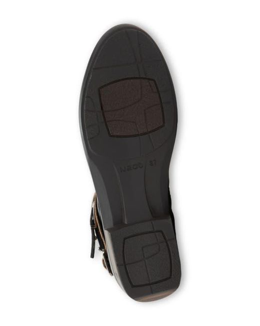 Naot Multicolor Sumatra Bootie