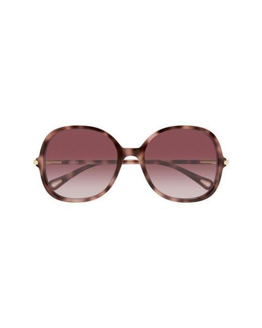 Chloé Purple 57Mm Gradient Round Sunglasses