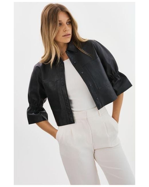 Lamarque Black Carolina
