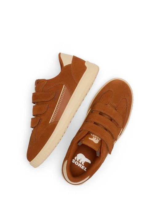 Sorel Brown Ona Drift Strap Sneaker