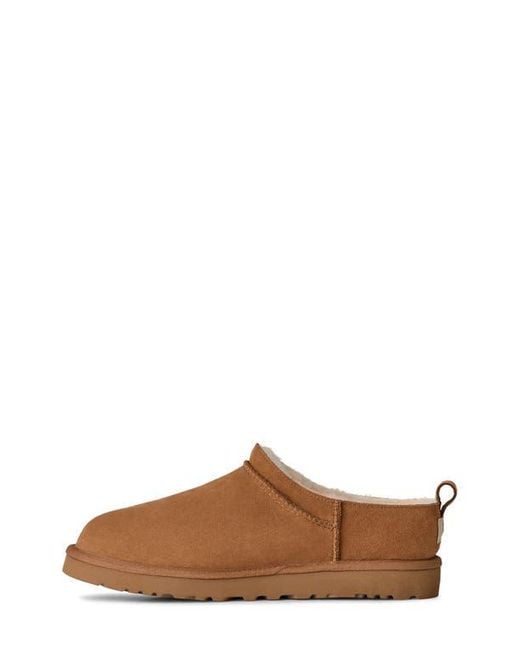 Ugg Brown Classic Genuine Shearling Lined Slipper for men