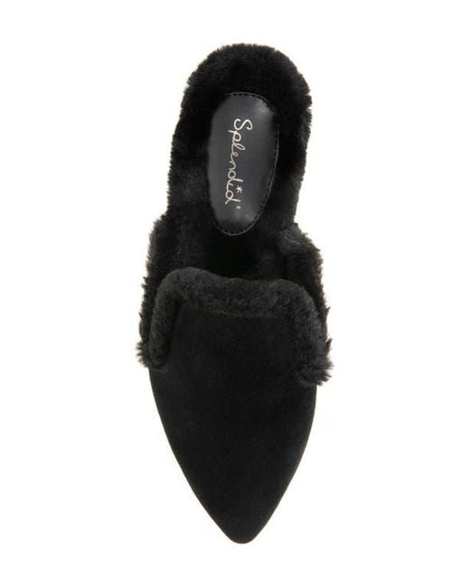 Splendid Black Liza Pointed Toe Mule