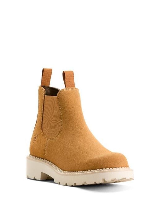 Ariat Brown Lug Sole Chelsea Boot