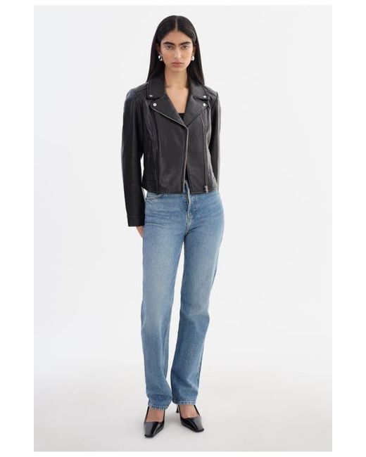 Lamarque Black Klea