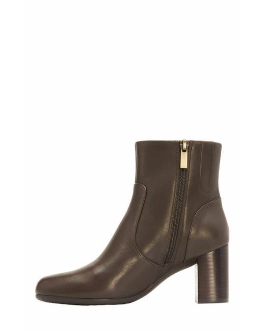 ABEO Brown Tempo Ankle Boot