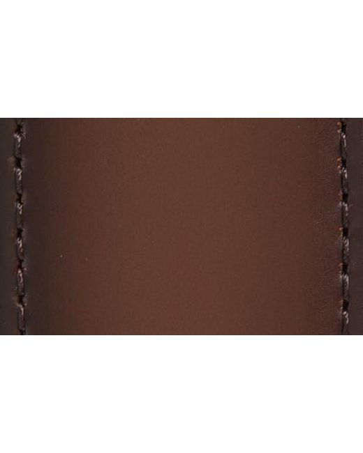 Ferragamo Brown Paloma Leather Belt for men