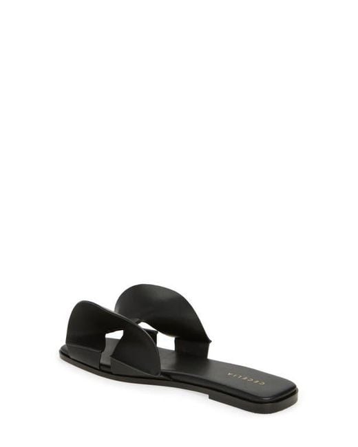 Cecelia New York Black Wendy Slide Sandal
