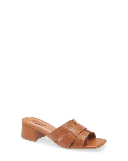 BOTTER Brown Catia Slide Sandal