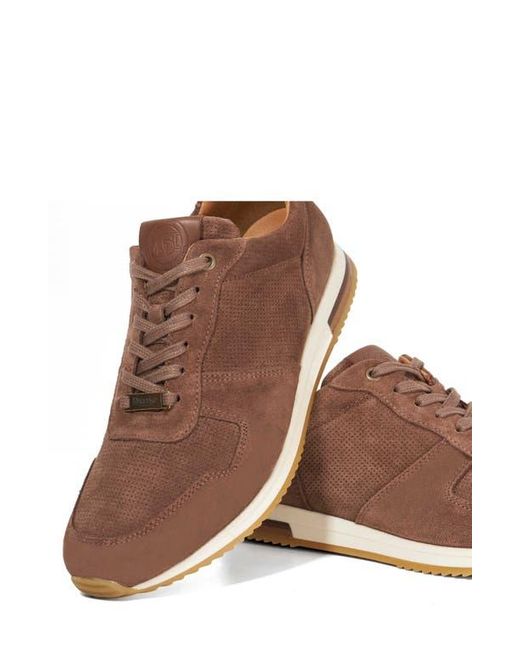 Dune Brown Trilogy Sneaker for men