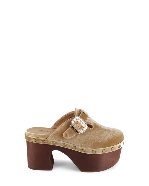 Zigi Brown Macarena Platform Clog