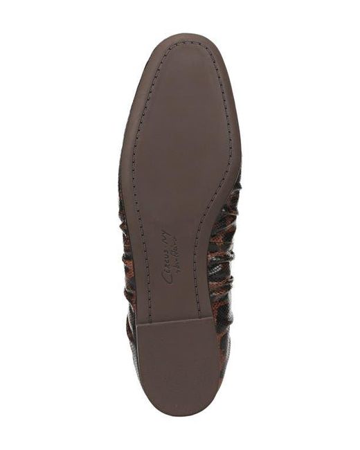 Circus by Sam Edelman Brown Blythe Flat