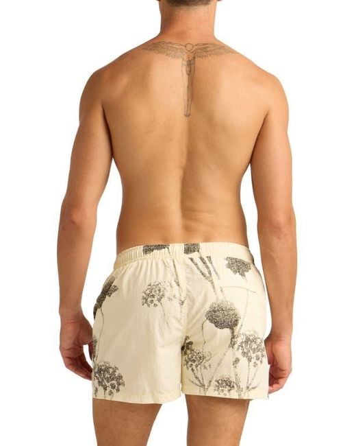 AUTO-REPLY™ Blue Print 4-Inch Nylon Swim Trunks for men