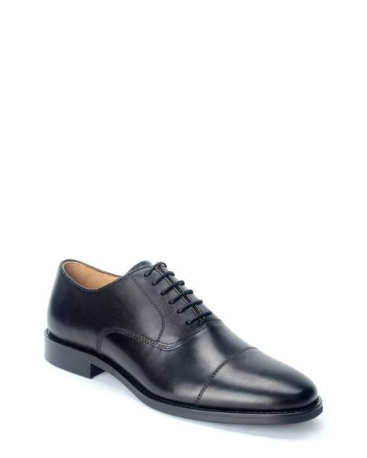 Warfield & Grand Gray Daniel Oxford for men