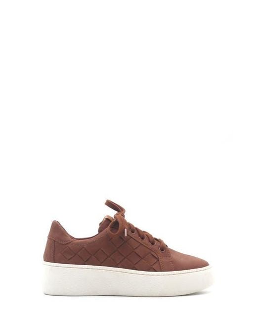 Gentle Souls Brown Kindy Platform Sneaker