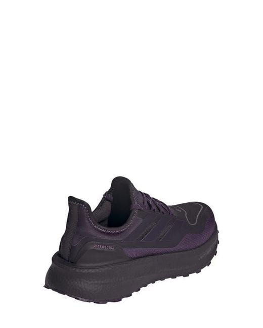 Adidas Blue Ultraboost 5 Gtx Running Shoe