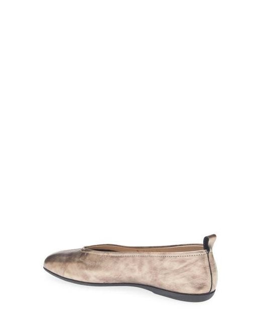 Wonders Brown Ballet Flat