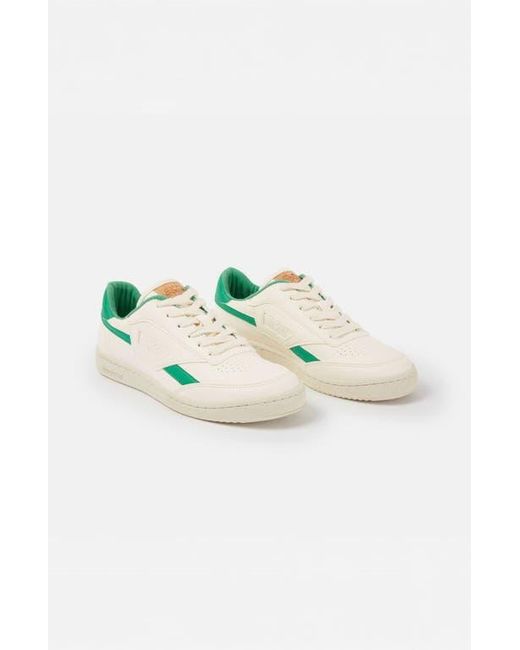 SAYE Multicolor M89 Icon