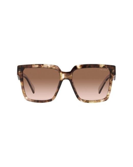 Prada Brown 57Mm Square Sunglasses for men