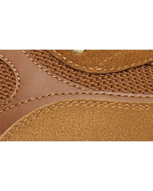 Tory Burch Brown Field Sneaker