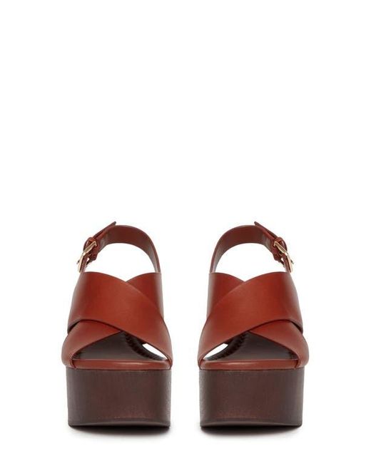 PAIGE Brown Reid Slingback Platform Sandal