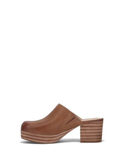 Frye Brown Campus Leather Clog