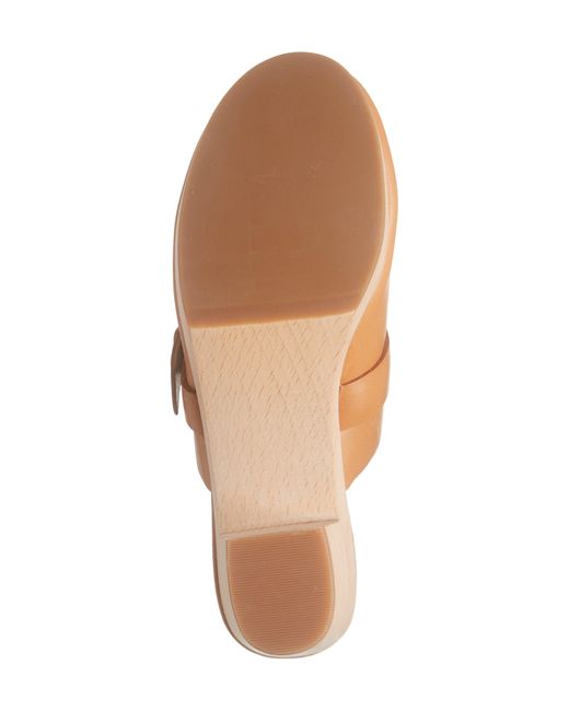 Madewell Brown Monique Buckle Clog
