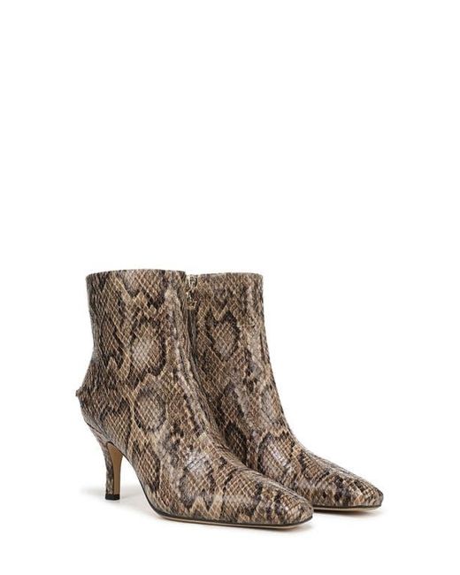 Circus by Sam Edelman Brown Laura Snakeskin Embossed Snip Toe Bootie