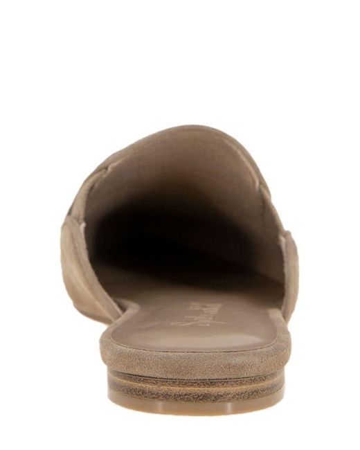 Splendid Brown Liza Pointed Toe Mule