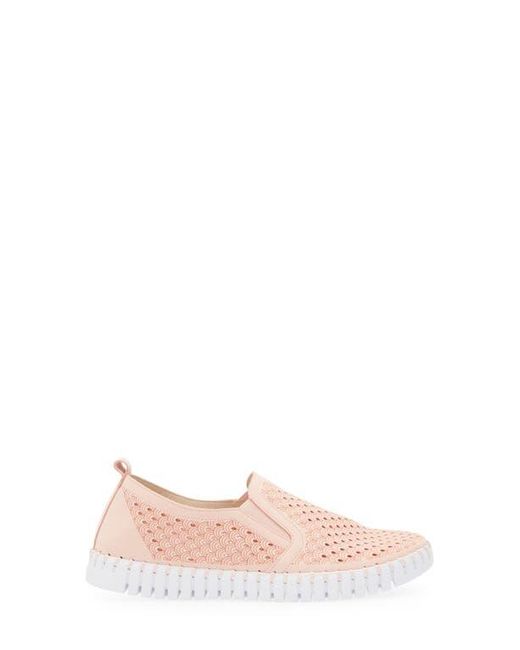 Ilse Jacobsen Pink Tulip Slip-On Sneaker