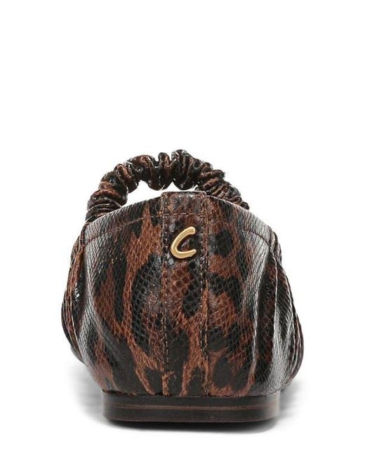 Circus by Sam Edelman Brown Blythe Flat
