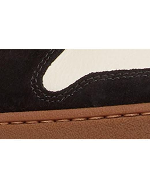 Fendi Brown Ff Match Sneaker for men