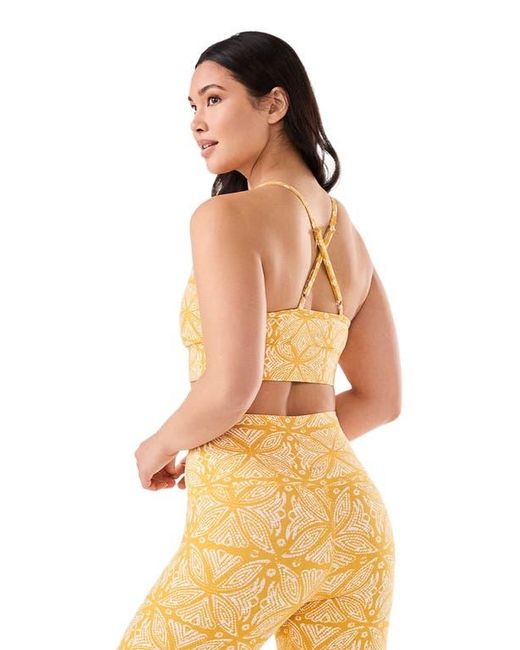 Tavi Orange Boost Bra