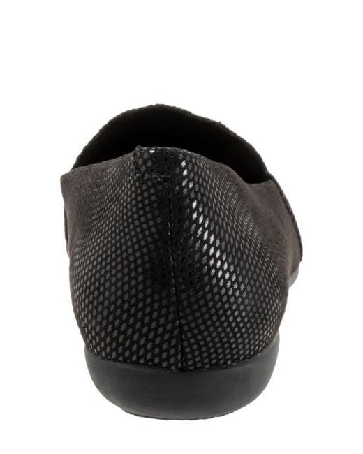Trotters Black Sage Flat