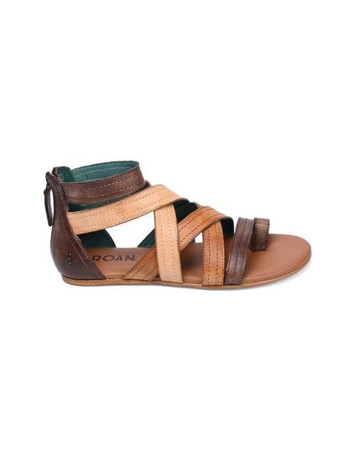 Roan Multicolor Royalty Sandal